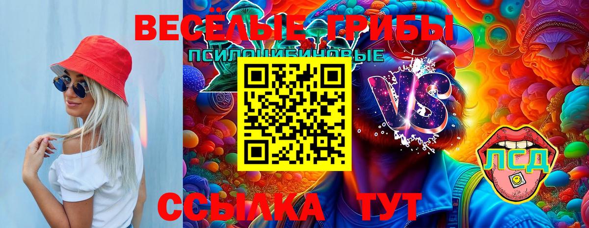 Псилоцибиновые грибы GOLDEN TEACHER Шелехов